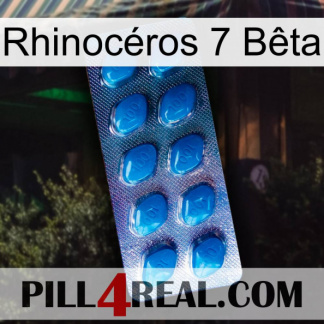 Rhinocéros 7 Bêta viagra1